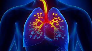 Respiratory